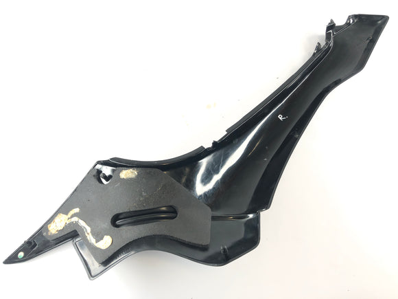 Triumph Daytona 1200 T300D [1995] - rivestimento del rivestimento posteriore