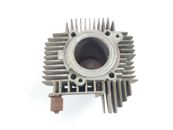 Ducatipah - Cagiva Alazzurra - Cylinder