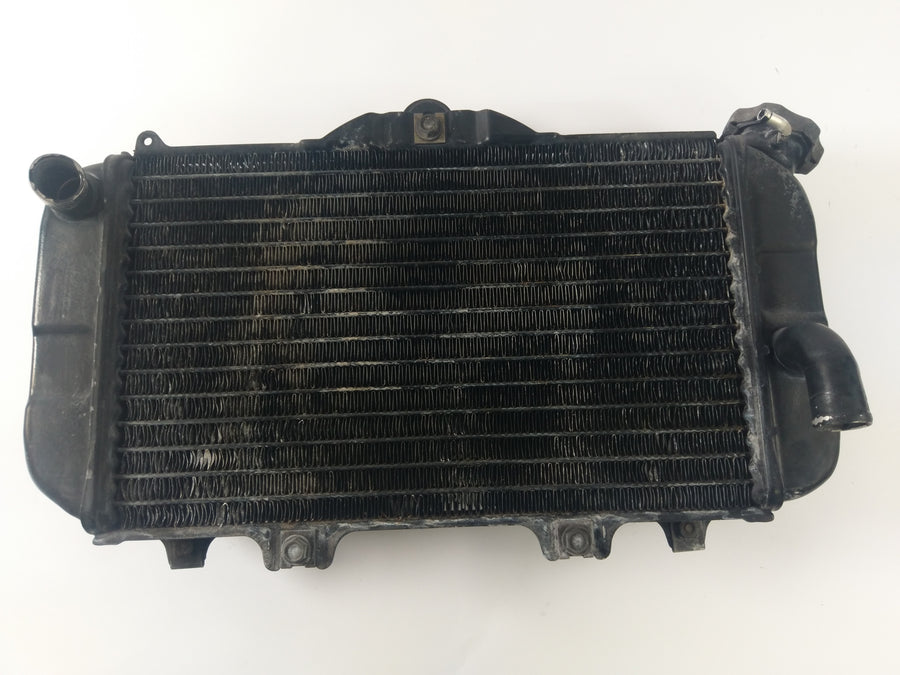 雅马哈 TDM 850 3VD [1992] - 水冷却器