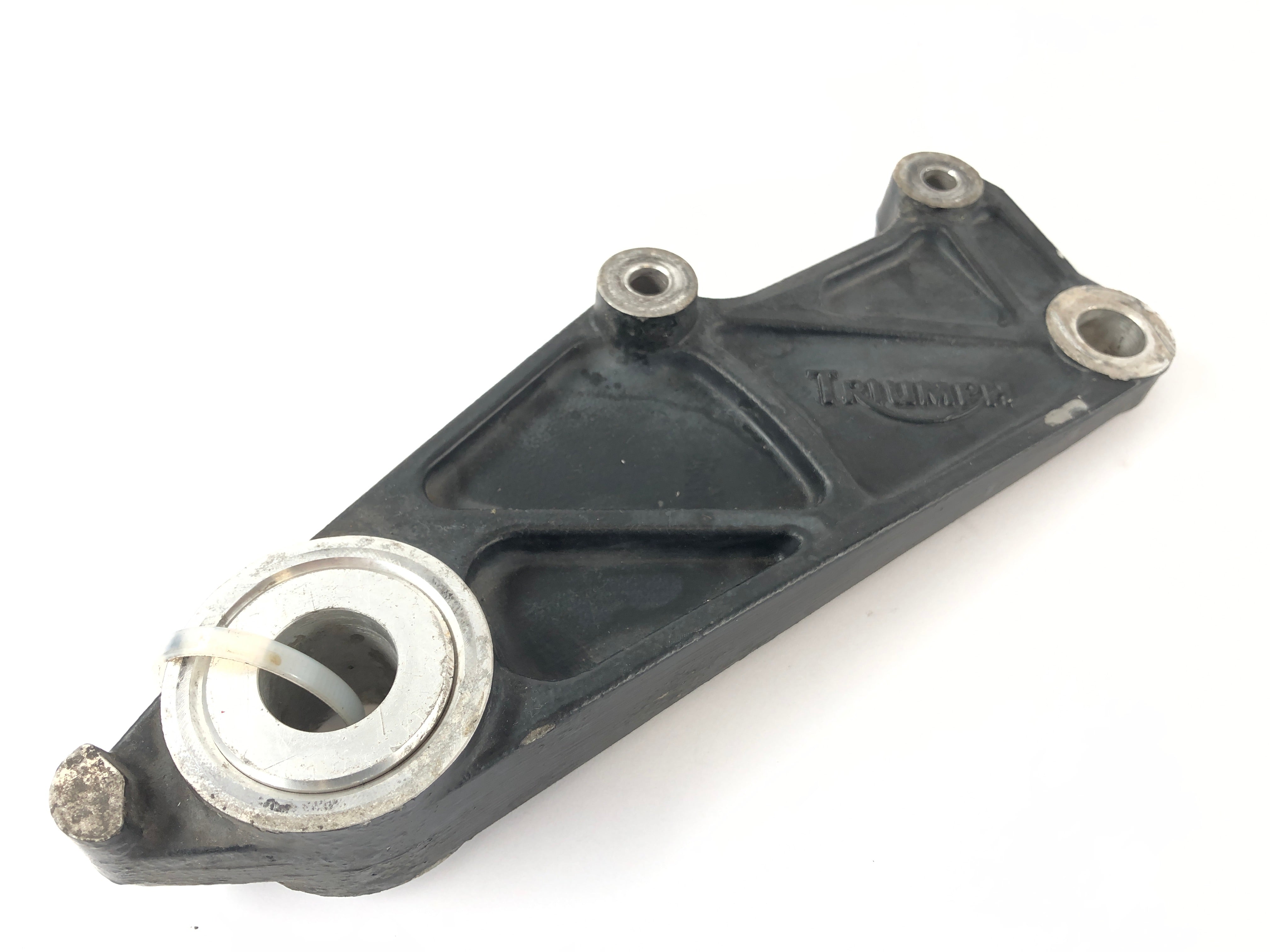 Triumph Thunderbird 900 RT T309 [1997] - Brake anchor plate anchor plate