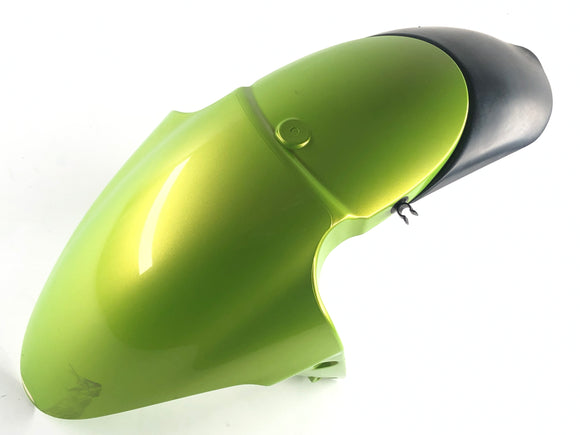 Triumph Street Triple R 675 D67ld [2008] - Fender Front Fenders framtill