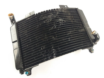 Aprilia RS 250 [1998] - Radiator water cooler defective - 0