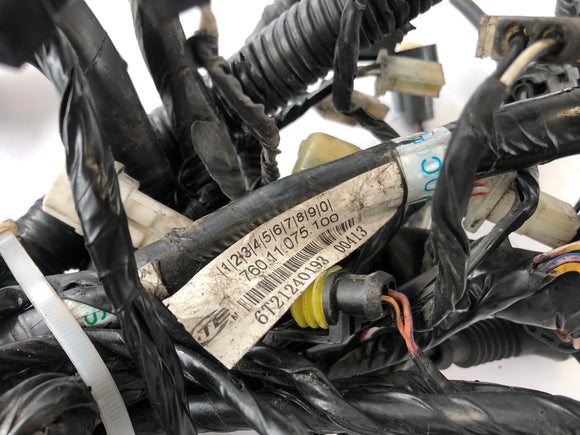 KTM Duke 690 A3 [2012] - Faisceau électrique