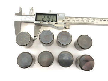 Triumph Thruxton 900 [2004] - Coppe umane - 0