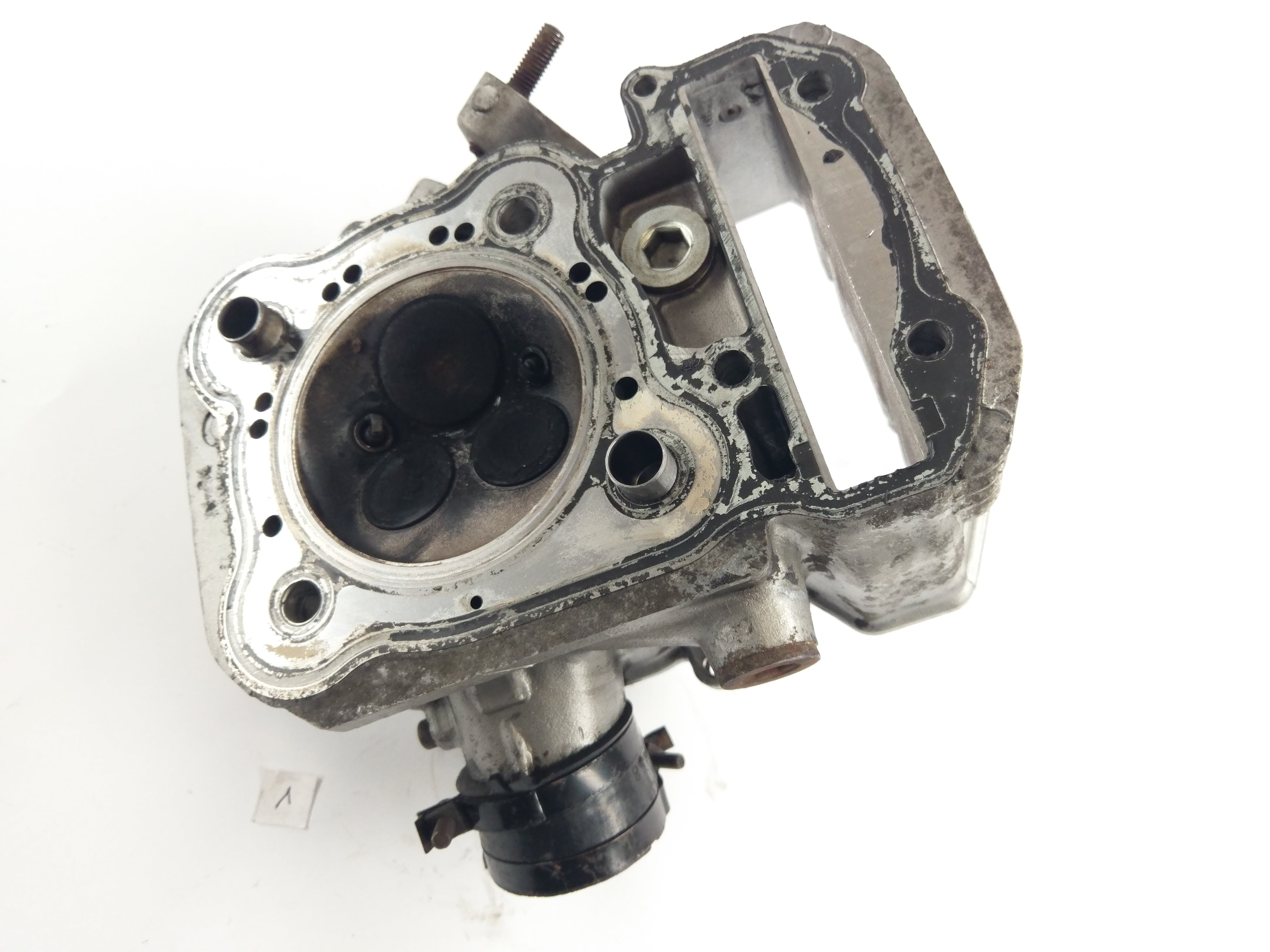 Honda XRV 650 African Twin RD03 [1989] - Cylinder Head