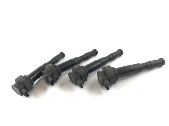 BMW K 1300 R [2010] - Ignition Coil Set