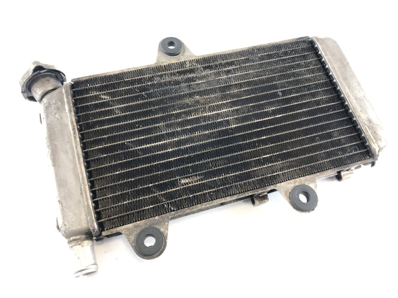 Yamaha XT 660 DM01 [2005] - Водный кулер