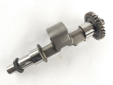 Aprilia RST 1000 FUTURA [2004] - Wave di compensazione - 0