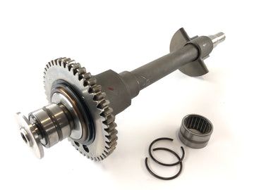 Triumph Daytona 955i T595N [2001] - Compensatiegolf