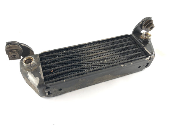 BMW R 1100 GS 259 ​​[1995] - Öljyjäähdytin