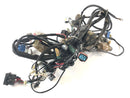 Honda VFR 800 RC46 [2005] - Wiring harness-2