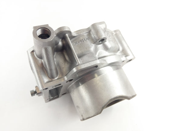 Apryia RSV 1000 Tuono RP [2005]  - ピストン付きのシリンダー