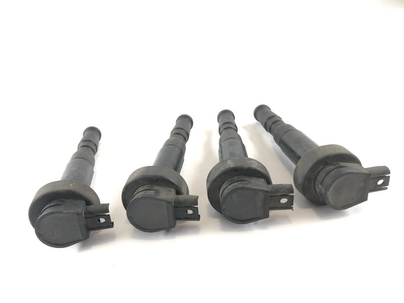 BMW K 1300 R [2010] - Ignition Coil Set