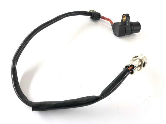 ヤマハYZF R1 RN12 [2005] -Gangensor