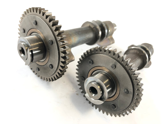 Triumph Thruxton 900 [2004] - Coppia set di alberi di compensazione