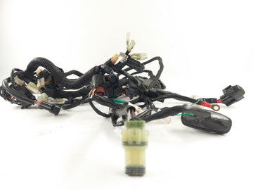 Husqvarna 701 Vitpilen [2018] - жгут проводки