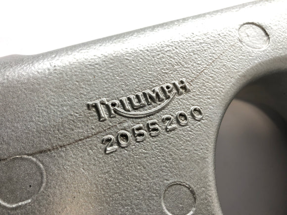 Triumph Daytona 955i T595N [2001] - Swinge achterwielzwaai