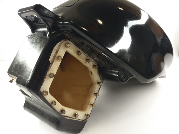 Triumph Speed ​​Triple 955i T595N [2002] - zbiornik benzyny zbiorników