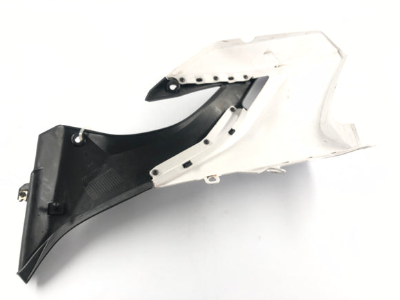 ヤマハWR 125 R DE07 [2016]  - 右側のページクラッディング