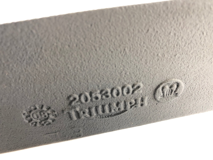 Triumph Street Triple R 675 D67LD [2008] - Swingarm Rear swingarm