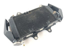 KTM Duke 125 [2011] - Radiator Water Cooler-1