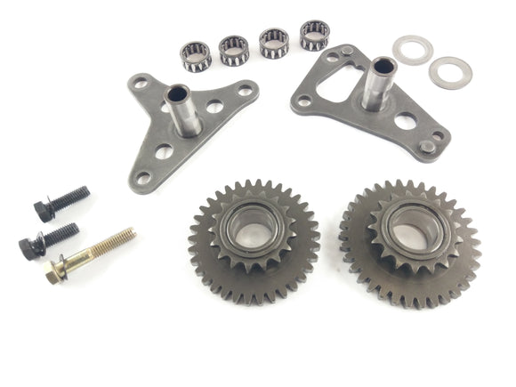 Aprilia første 1000 Futura [2004] - Control Chain Drive