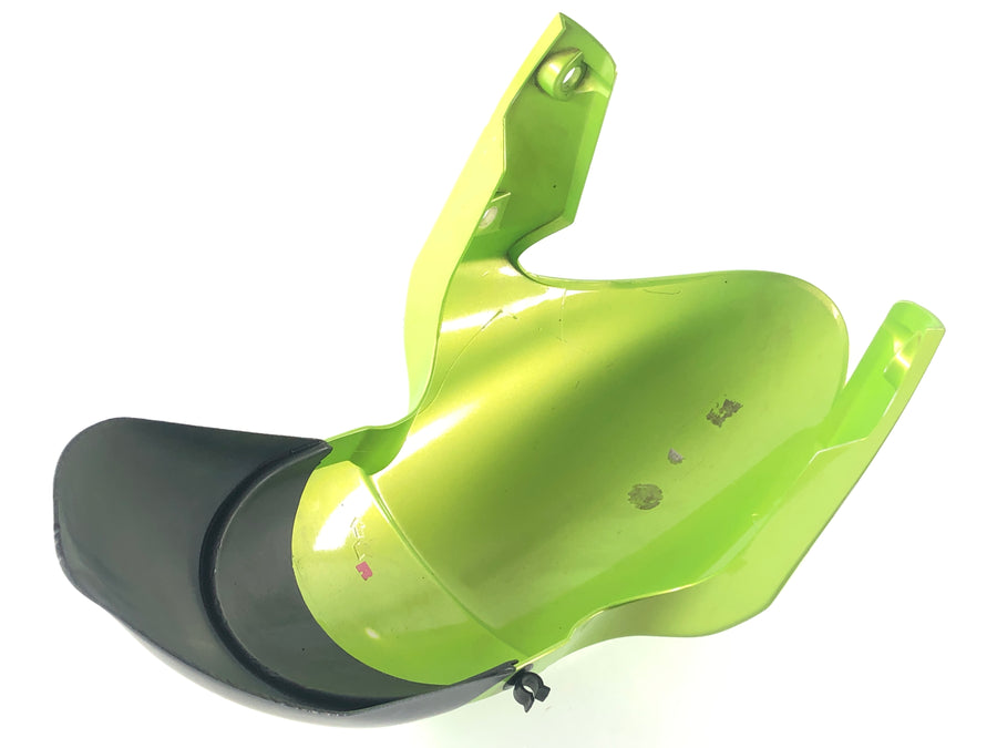 Triumph Street Triple R 675 D67LD [2008] - Kotflügel vorne Frontfender