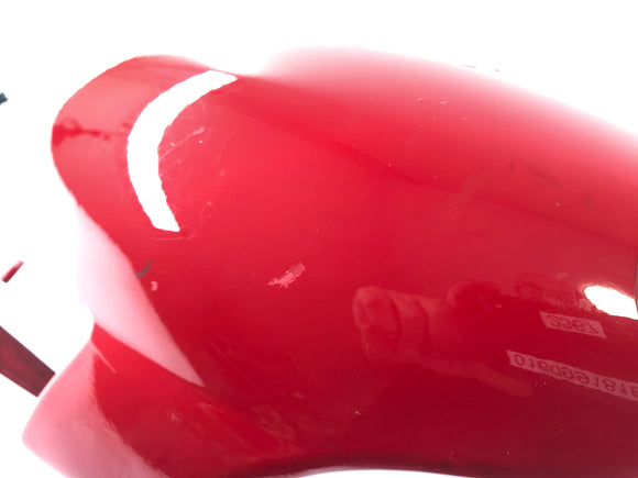 Ducati 999 H4 [2003] - Garde-boue avant