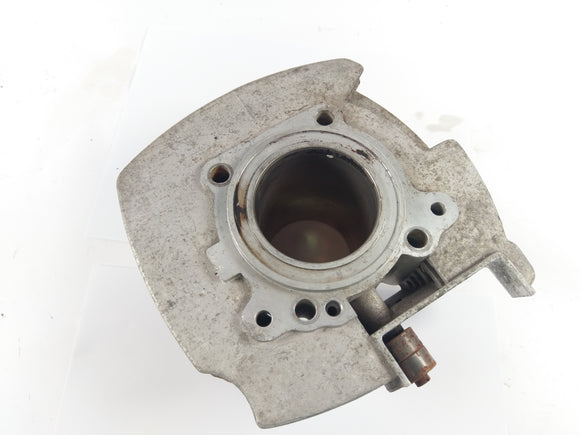 Ducatipah - Cagiva Alazzurra - Cylinder