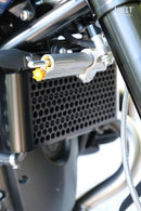 BMW R nineT 1200 Roadster [2014-2023] - Kühlerschutz