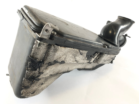 Yamaha YFM 350 Warrior 3GD [2003] - Caixa de filtro de ar da caixa de ar com crack