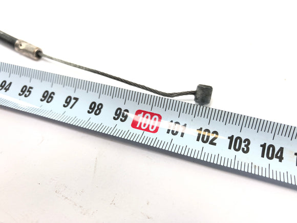 TIGER TRUMEPH 900 T 400 - DUSKE TRAIN