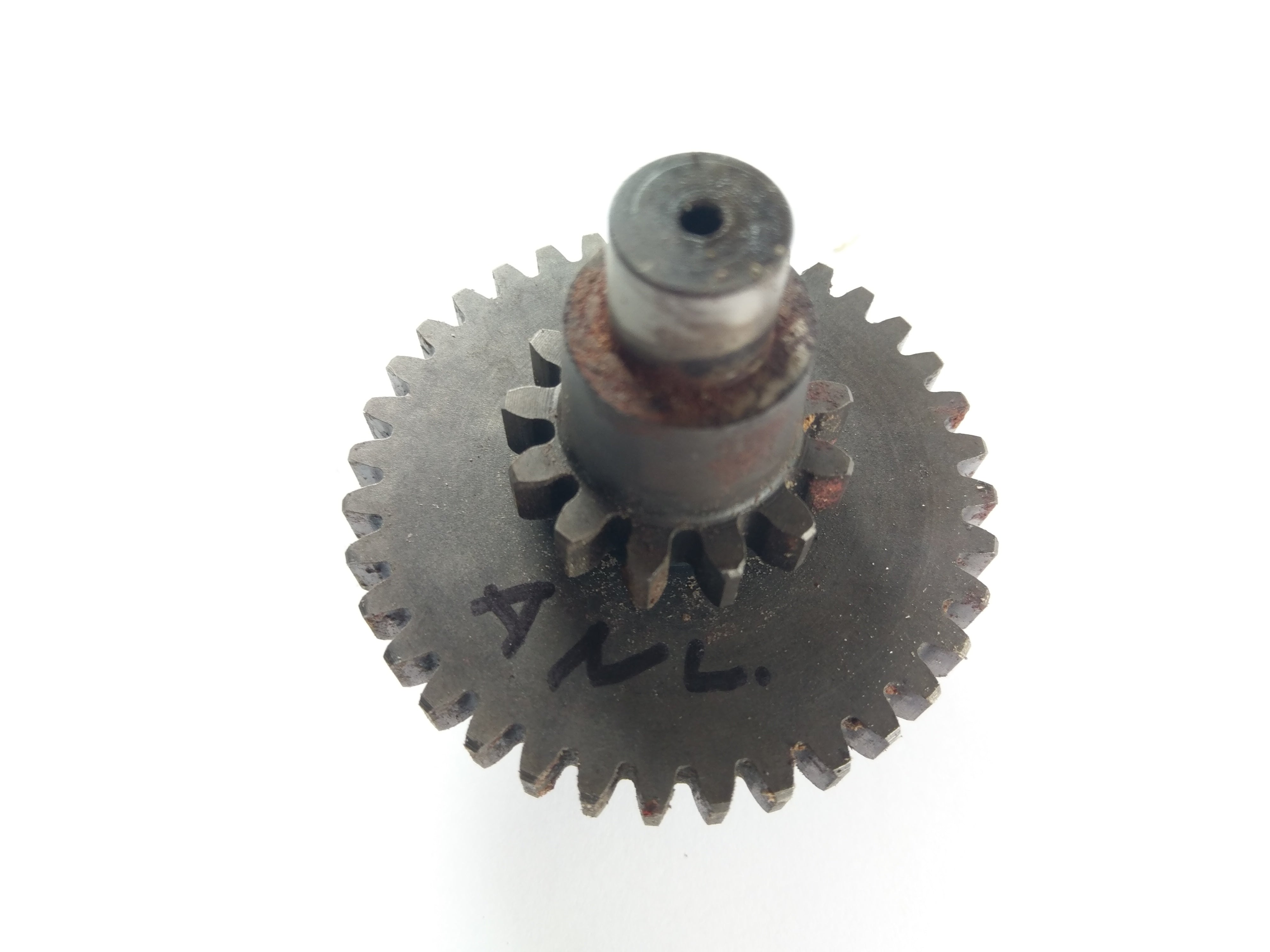 Ducati GTV 500 - Gear Co -Gear Motor Gearbox