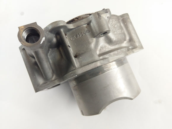 Aprilia RST 1000 FUTURA [2004] - Cilindro con pistoni