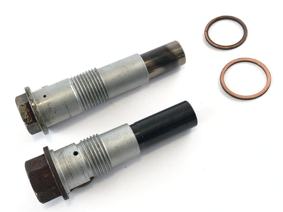 BMW R 1200 C 259C [1998] - Tensor da cadeia tributária