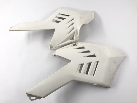 Beta RR 125 [2018] - Tankbekleding rechts en links