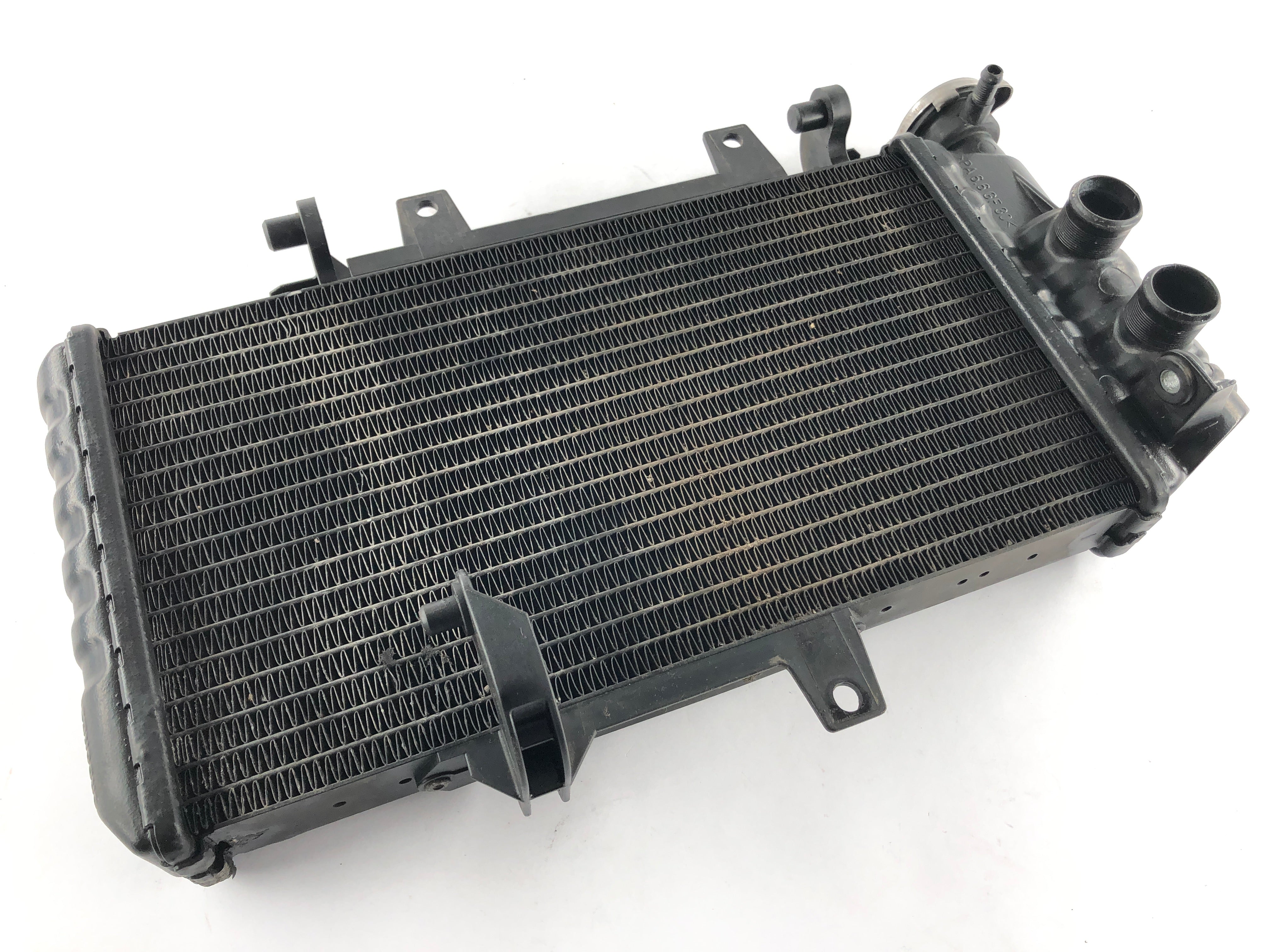 BMW F 800 S [2007] - Radiator Water Cooler - 0