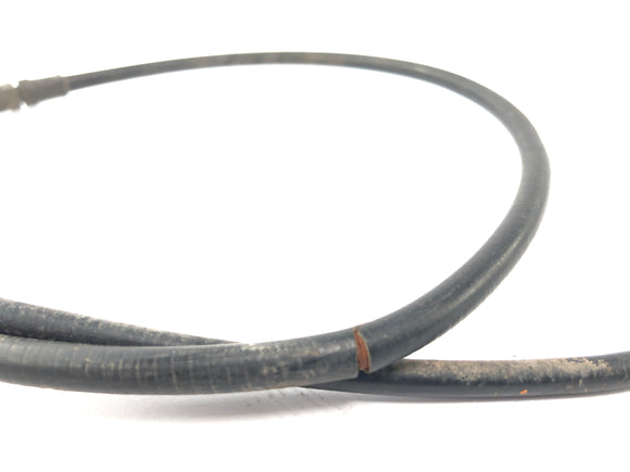 TIGER TRUMEPH 900 T 400 - DUSKE TRAIN