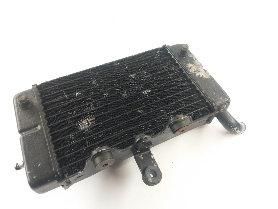 Honda Africa Twin XRV 650 RD03 [1989] - radiaator