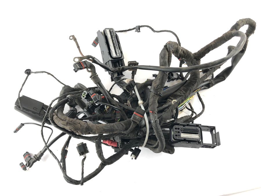 BMW F 800 ST [2006] - Elektroinstalācija