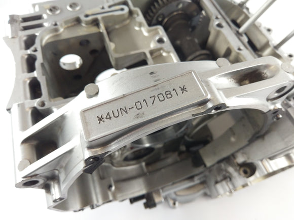 Yamaha TRX 850 4UN [1999] - Motor de carcasa vacía