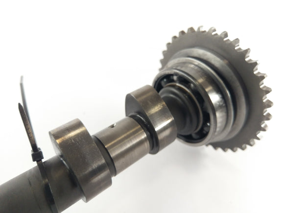 Benelli TNT 1130 Sport [2002] - Wałka rozrządu wałka rozrządu rozrządu