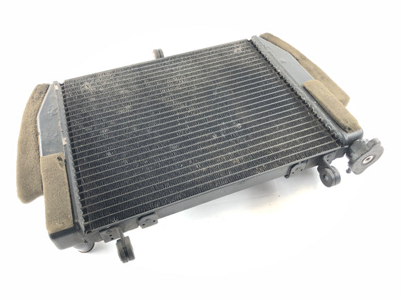 Yamaha YZF R6 RJ03 [2000] - Radiator Water Cooler
