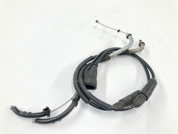 Ducati 1098 S H7 - Gaszug