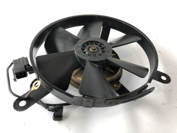 Honda CBR 900 RR SC28 [1995] - Fan Fan Fan Fan Cooler
