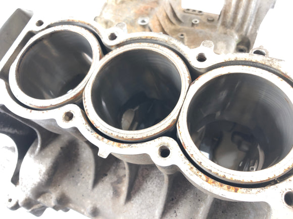 Triumph Daytona 955i T595N [2001] - Alcanzos del motor con cilindro y arbustos en funcionamiento