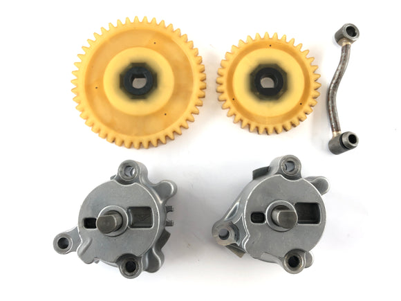 Triumph Thruxton 900 [2004] - Set di pompe dell'olio