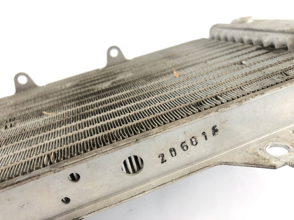 ヤマハWR 125 R DE07 [2016]  - クールウォータークーラー